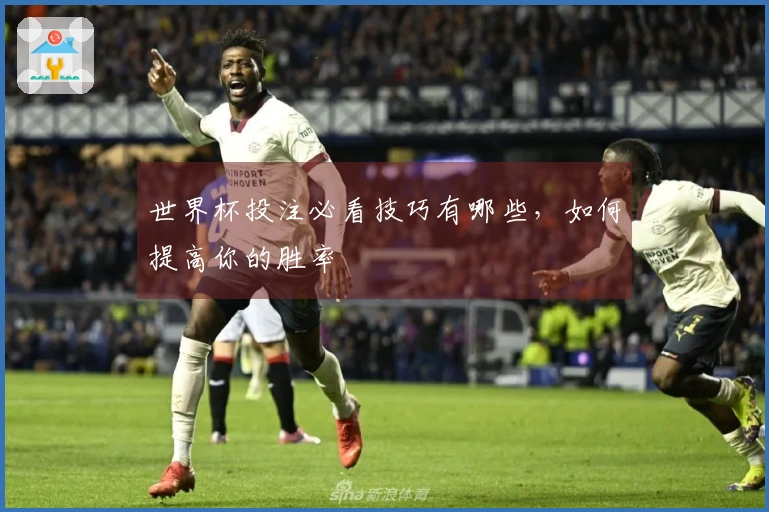 世界杯投注必看技巧有哪些，如何提高你的胜率