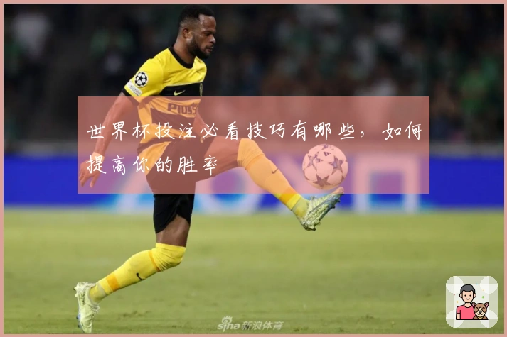 世界杯投注必看技巧有哪些，如何提高你的胜率