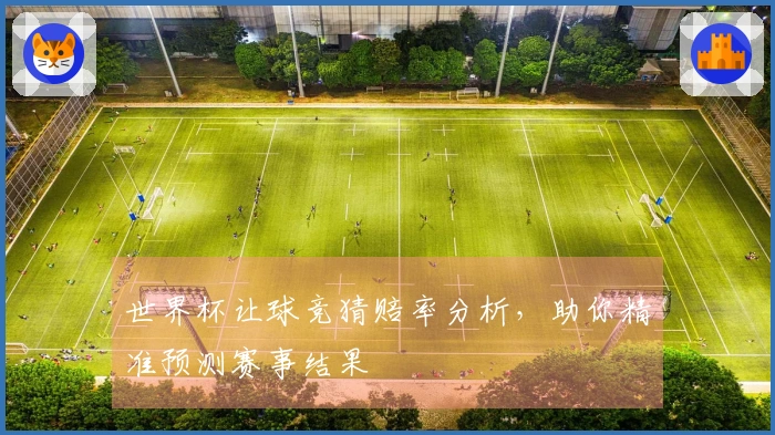 世界杯让球竞猜赔率分析，助你精准预测赛事结果