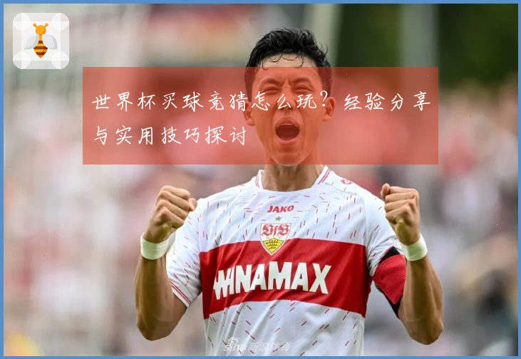 世界杯买球竞猜怎么玩？经验分享与实用技巧探讨