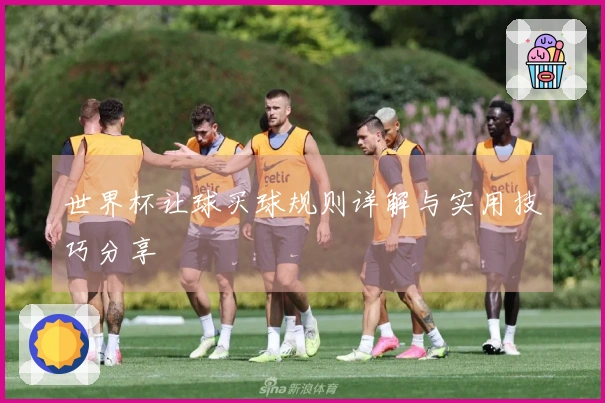 世界杯让球买球规则详解与实用技巧分享