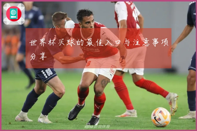 世界杯买球的最佳入口与注意事项分享