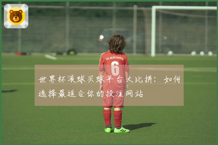 世界杯滚球买球平台大比拼：如何选择最适合你的投注网站