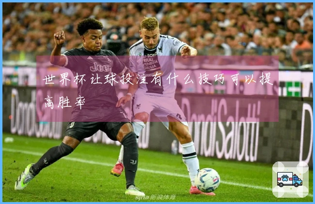 世界杯让球投注有什么技巧可以提高胜率