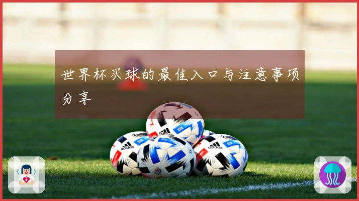 世界杯买球的最佳入口与注意事项分享