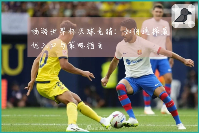 畅游世界杯买球竞猜：如何选择最优入口与策略指南